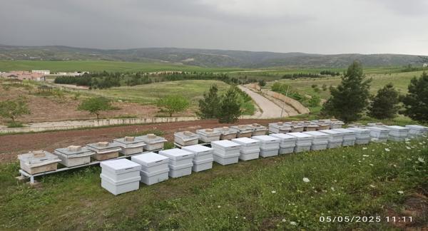 Arıcılık Uygulama Ve Araştırma Merkezi