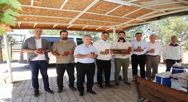 Bal Hasadı